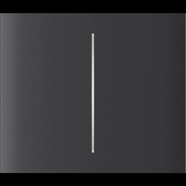 Центральная кнопка для двухклавишного выключателя Ajax CenterButton (2-gang) vertical Graphite (83445.140.GP)